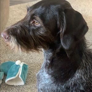 Meet your Posher, Jeff